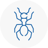 Ant Removals In Paignton