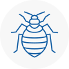 Bed Bug Extermination In Paignton