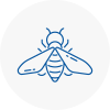 Bee Nest Removal Paignton