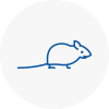 Mice Exterminators In Paignton