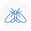 Moth Control Specialists In Paignton