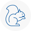 Paignton Rodent Removals